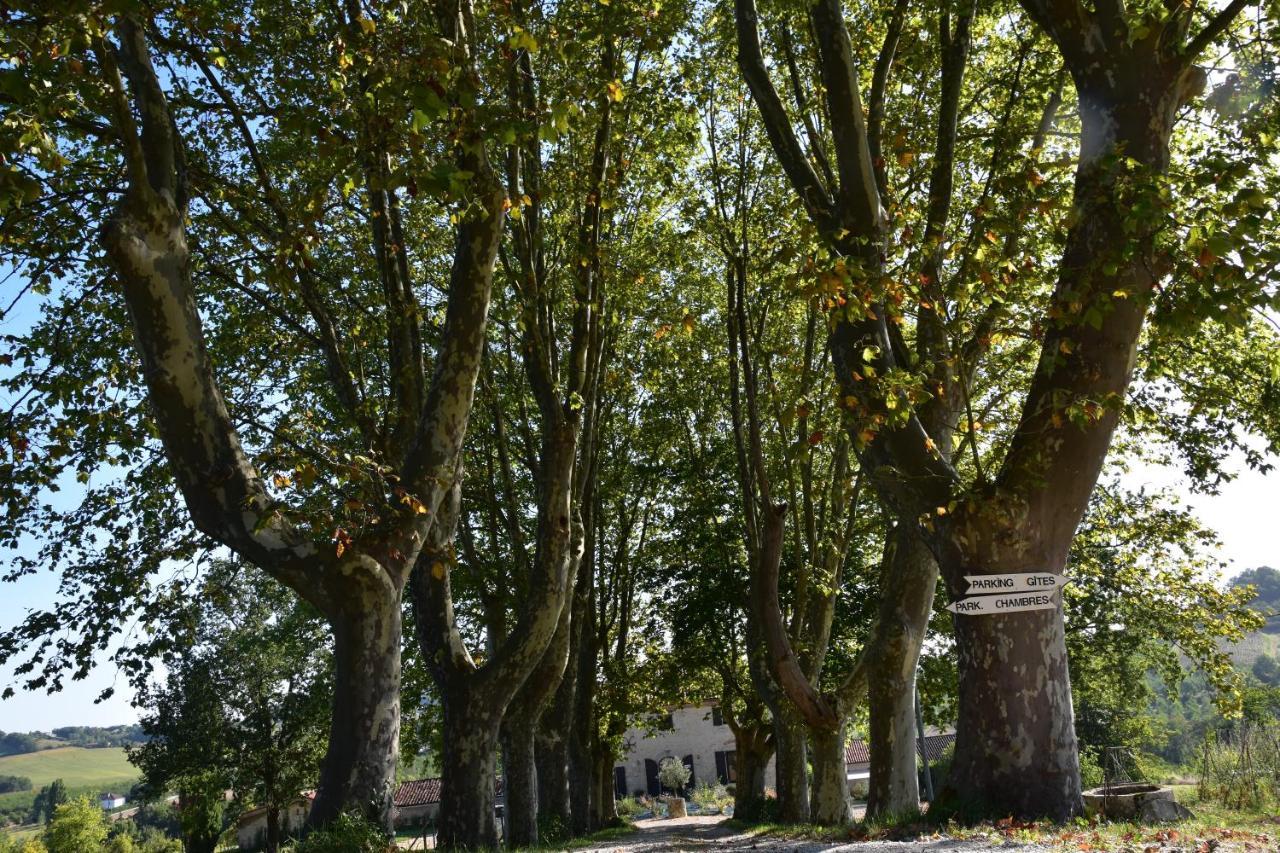 Dolmayrac Domaine De Calbiac Bed & Breakfast エクステリア 写真