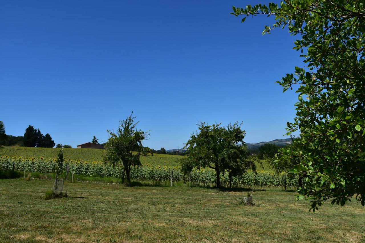 Dolmayrac Domaine De Calbiac Bed & Breakfast エクステリア 写真