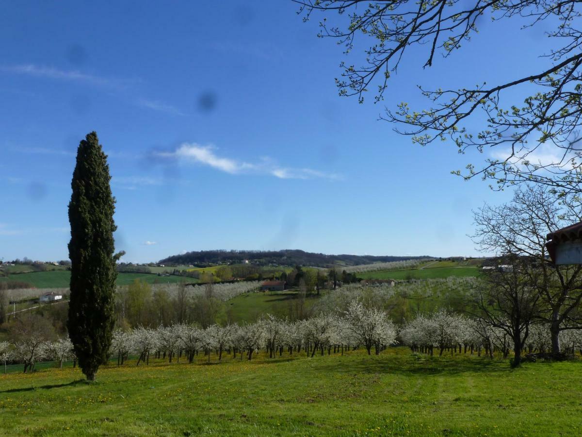 Dolmayrac Domaine De Calbiac Bed & Breakfast エクステリア 写真